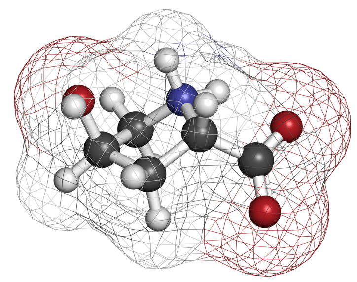 Hydroksyprolina - aminokwas - składnik kolagenu